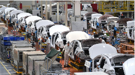 Optimize Your Website for the Better Sight